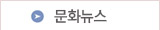 문화뉴스